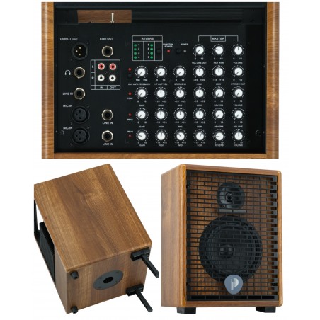 Ampli 90 W RMS bois pour instruments acoustiques et voix 3 entrées et 2 sorties symétriques équaliseur 3 bandes sur les 3 lignes