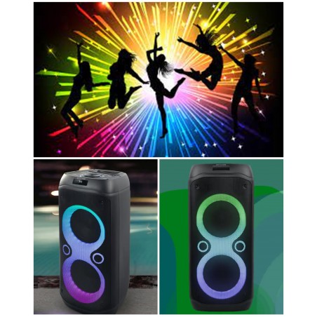 Enceinte sono portable Party karaoké box Bluetooth 5.3 – 600 W – LED RGB – USB micro sd – micro sans fil + micro filaire