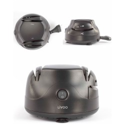 Aiguiseur Electrique 40W...