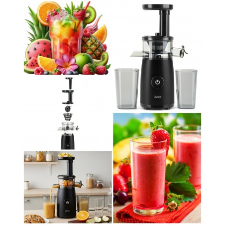 Extracteur de Jus de Fruits et Légumes 150 W rotation lente – Pureté du Jus Élevée – noir