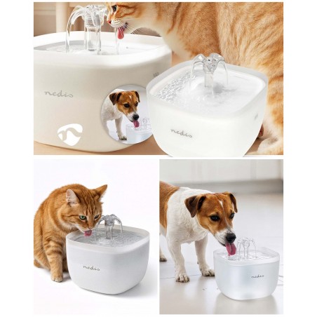 Fontaine à eau 2 L pour chats et chiens Lueur LED