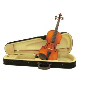Violon 4/4 avec une mallette et archet dans son étui