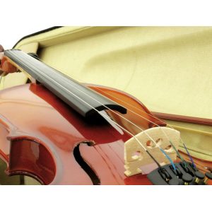 Violon 4/4 avec une mallette et archet dans son étui