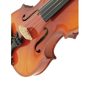 Violon 4/4 avec une mallette et archet dans son étui