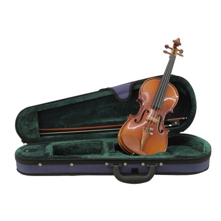 Violon 1/4 avec une mallette et archet dans son étui