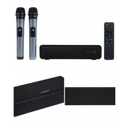 Barre de son portable 30 W party karaoké avec effet d'écho et 2 microphones sans fil UHF