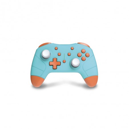 SWITCH Manette BT Carapace et cable de charge 1M - BT Controller Carap