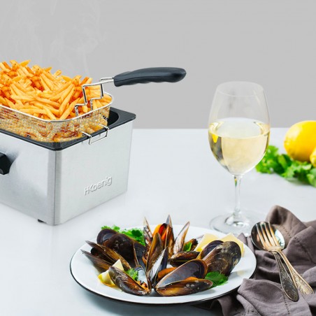 friteuse électrique