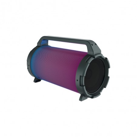 Enceinte sur batterie Bluetooth 5.0 USB mp3 micro