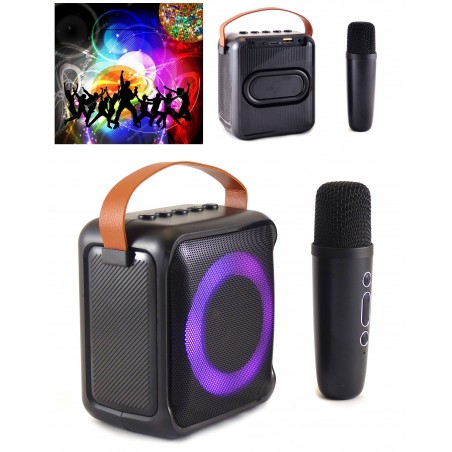 Enceinte sono portable party Bluetooth karaoké 20 w mobile USB