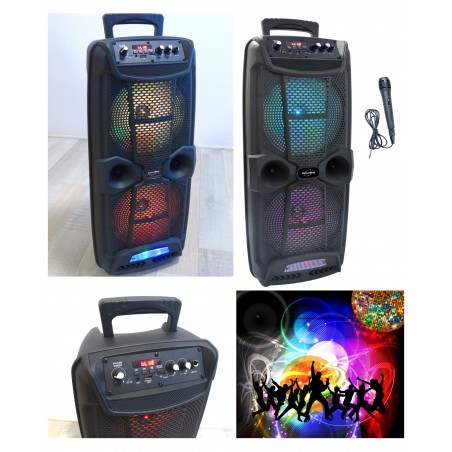 Enceinte sono portable party Bluetooth 800 w mobile USB TWS LED RGB msd + micro filaire