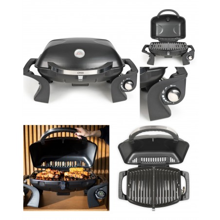 Barbecue à gaz Plancha portable grille émaillée amovible de 50 × 37,5 cm Allumage