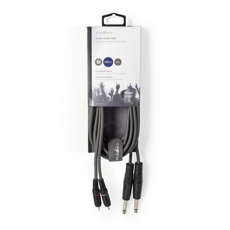 Sweex Stereo Audio câble 2 × 6,35 mm mâle – 2 × RCA mâle 3,0 m