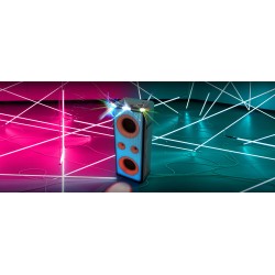 Enceinte portable sans fil...