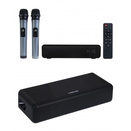 Microphones sans fil UHF X 2 + Barre de son portable 30 W party karaoké avec effet d'écho et 2 microphones sans fil UHF