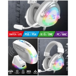 Casque PC Gamer Pro-H40...